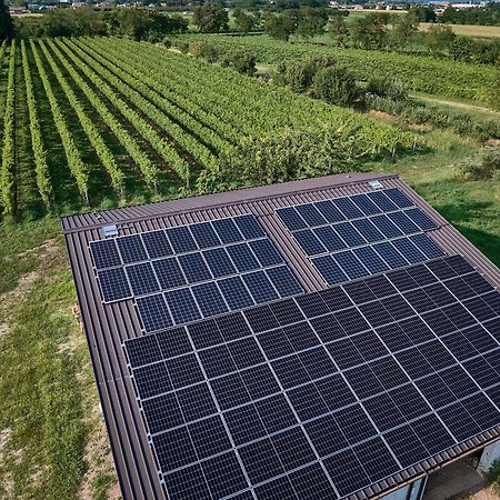Agriturismo Zappare Farm Hotel Trevignano 外观 照片
